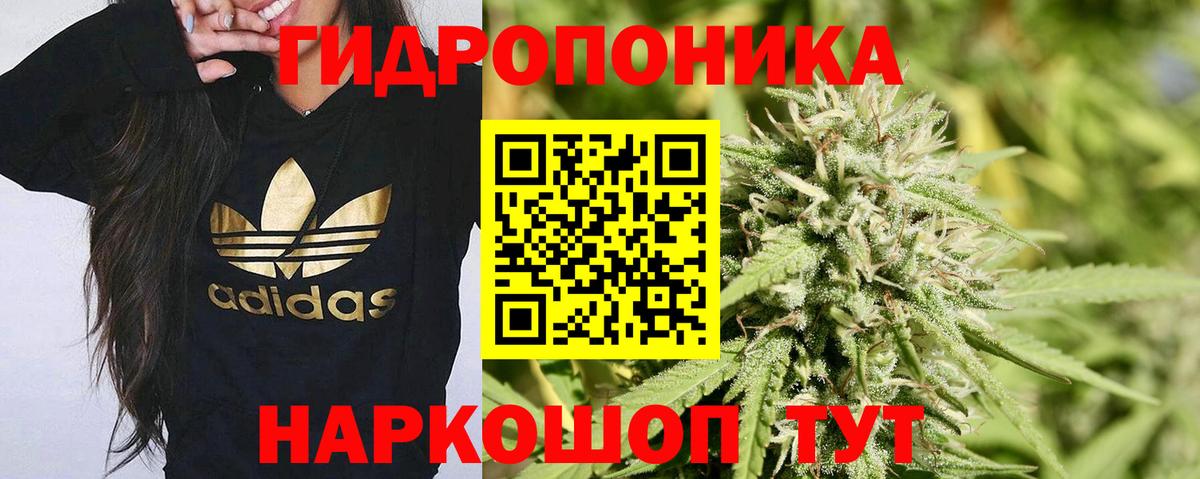 Бошки Шишки MAZAR Белореченск
